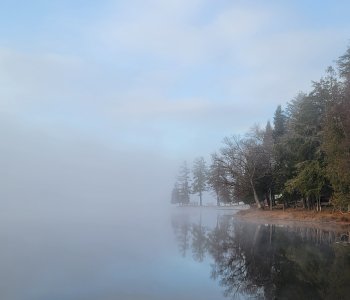 the fog is riding over Dart's Lake at Camp Gorham, as water hits the tree-lined shore