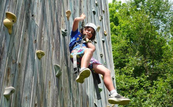 Watson Woods Rock Wall