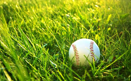 Baseball in the grass
