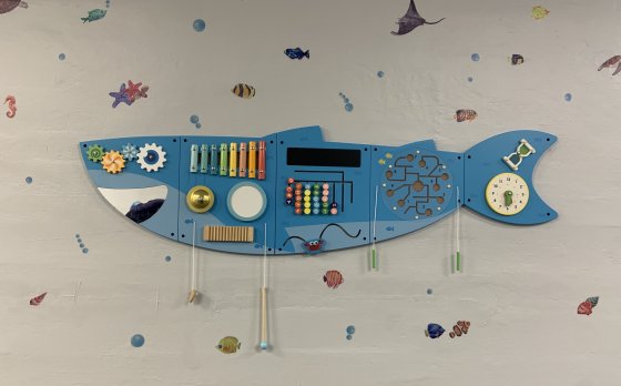 Sensory Room Shark at the Corning Y