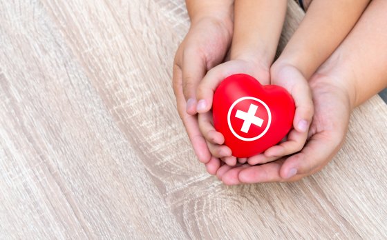 Red Cross Babysitting