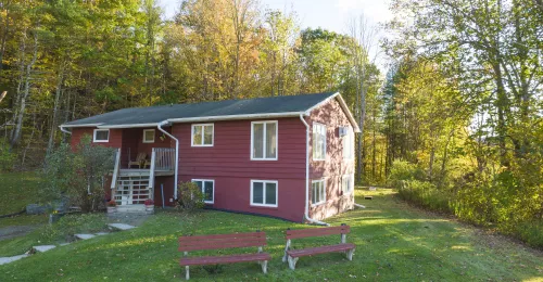 Watson Woods Hillside