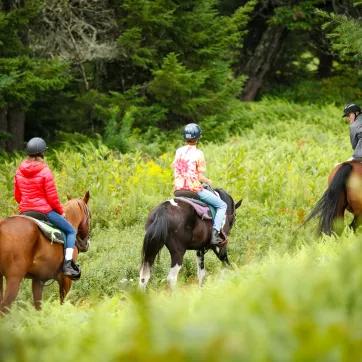 YMCA Camp Gorham, Brighton Partner to Send Kids to Camp